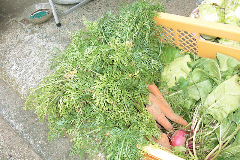 生活支援コーディネーターの活動。「はるかぜ農園」の野菜直売