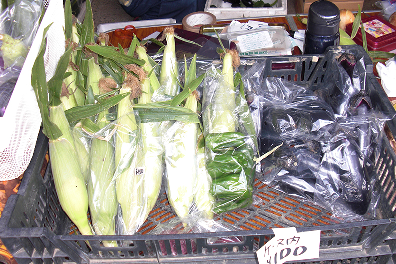 生活支援コーディネーターの活動。「はるかぜ農園」の野菜直売