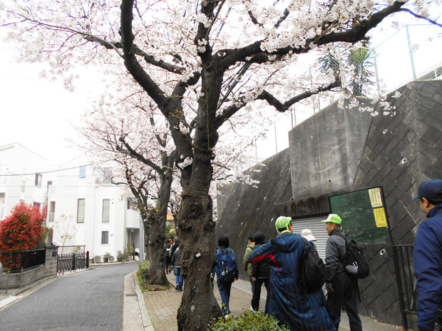 生活支援コーディネーターの活動