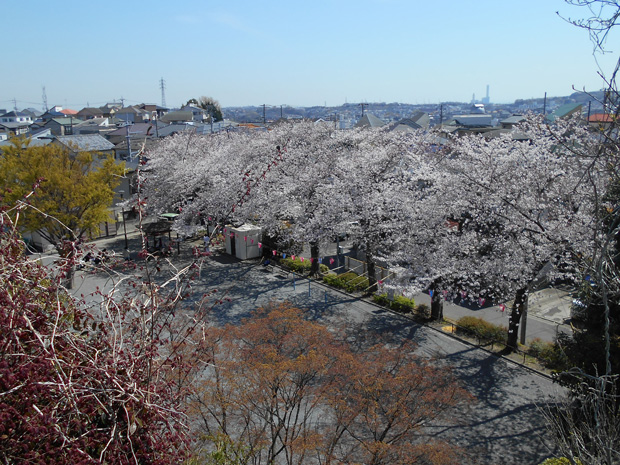 生活支援コーディネーターの活動