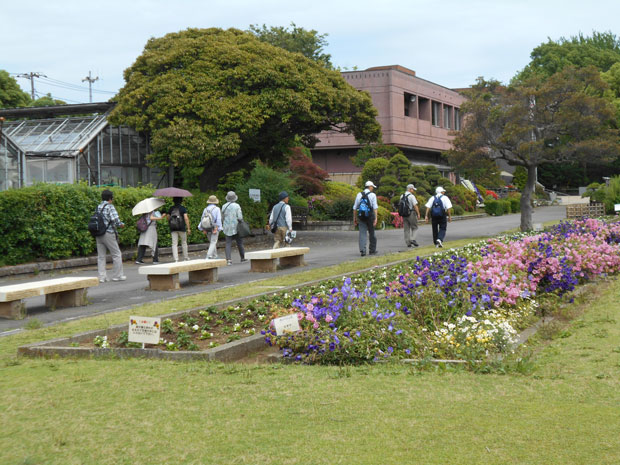 福寿会（別所４丁目老人会）健康ウォーク